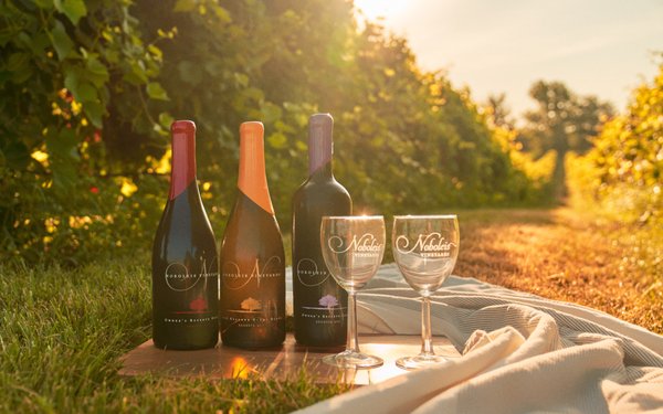 Noboleis Vineyards by null