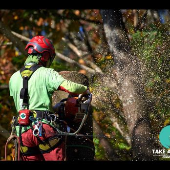 Take a Bough Tree Care - Tree Services Near Me - North Vancouver, British Columbia Take a Bough Tree Care - Tree Services Near Me - North Vancouver, British Columbia