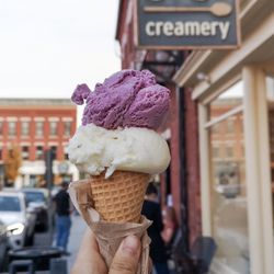 SoCo Creamery - Black raspberry and lemon basil