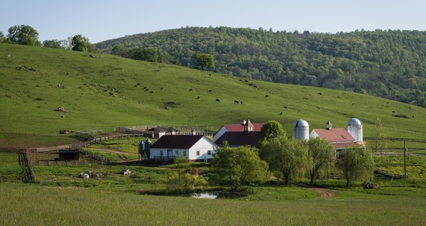Ovoka Farm by null