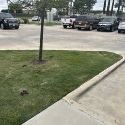 A bunch of dog shit from the rejects who live here A bunch of dog shit from the rejects who live here