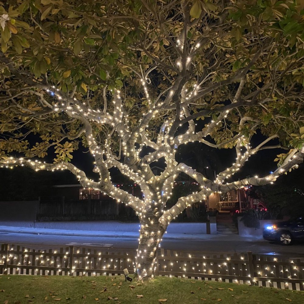Holiday Light Installations - This tree was stunning! - Holiday Decorating Services Near Me Holiday Light Installations - This tree was stunning! - Holiday Decorating Services Near Me