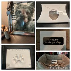 A Gentle Farewell - In-Home Euthanasia - Charlie's memorial