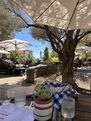 Gundlach Bundschu Winery by null