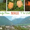 Walk Maui gift card