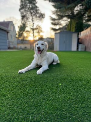 Quality Hardscapes & Design