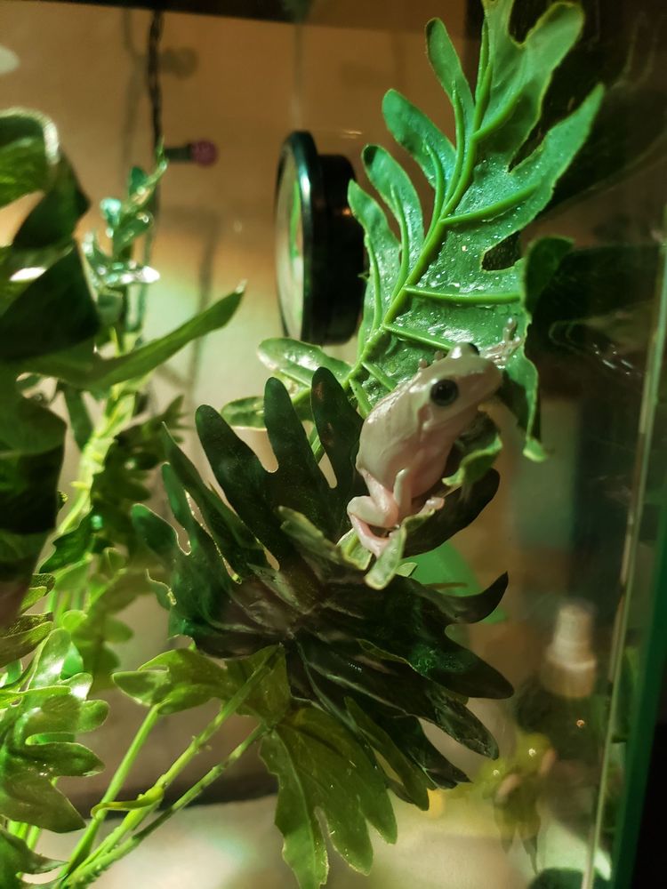 VETERINARY MEDICAL CENTER Updated October 2024 61 Photos & 64