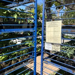 Almaden Valley Nursery