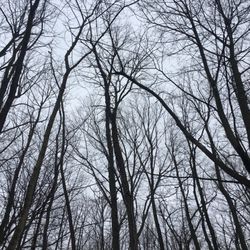 MacKay Wildlife Preserve