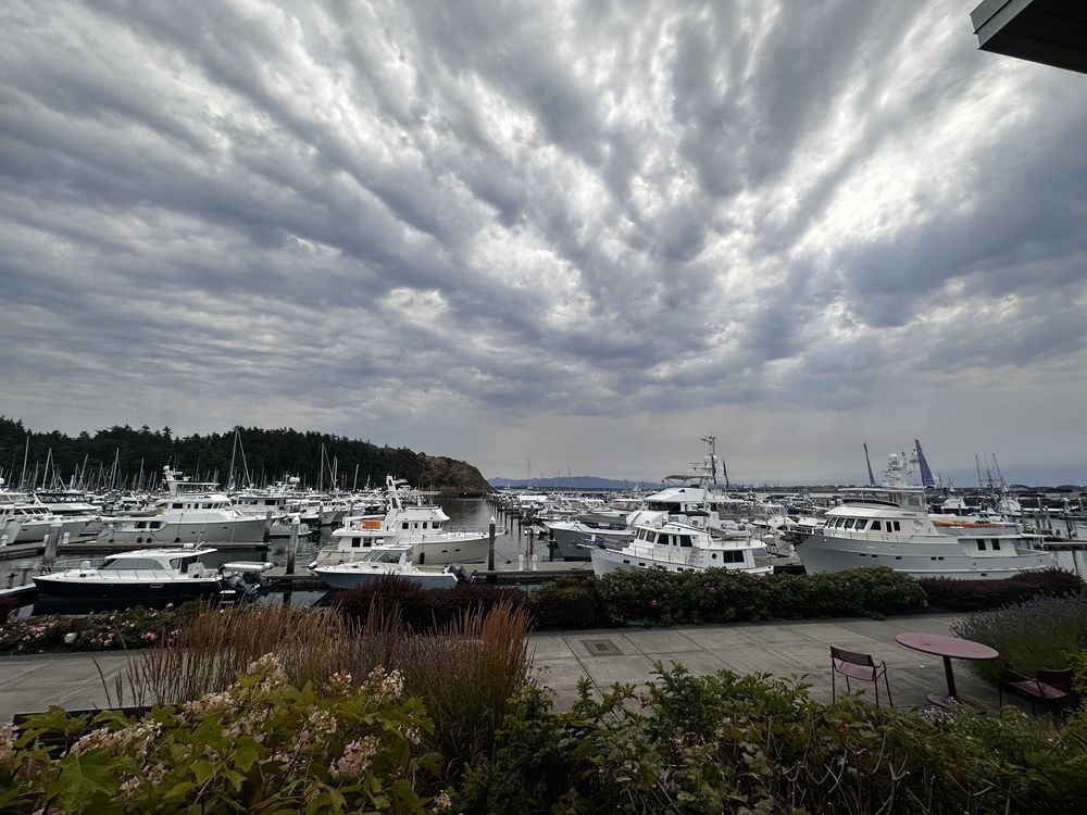 Anthony's at Cap Sante Marina