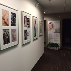 The Laser & Rejuvenation Center - Interior of The Laser & Rejuvenation Center at Gold Skin Care Center.