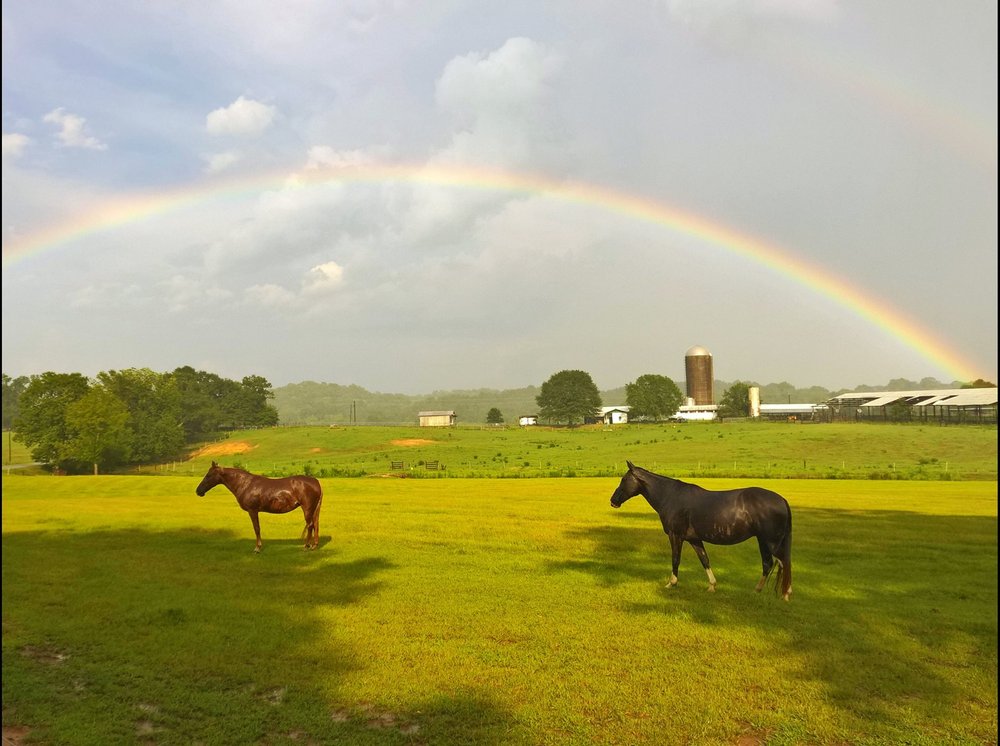 Shel-Clair Farms - equestrian in Vincent, AL