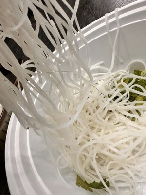 Phở Ha Saigon by null