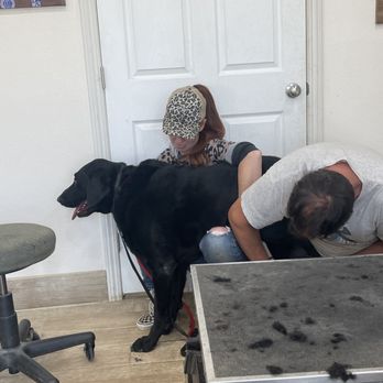 Tango Kennels - Nail time - Pet Groomers Near Me - Oakdale, California Tango Kennels - Nail time - Pet Groomers Near Me - Oakdale, California