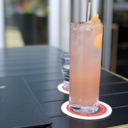 Salty Dog