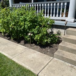 New front walkway and spotlight.