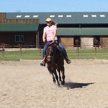 Red Dog Ranch - Horseback Riding Near Me - Yuba City, California Red Dog Ranch - Horseback Riding Near Me - Yuba City, California