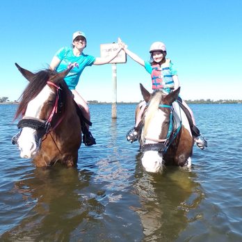C Ponies Beach Horseback Rides - Horseback Riding Near Me - Bradenton, Florida C Ponies Beach Horseback Rides - Horseback Riding Near Me - Bradenton, Florida