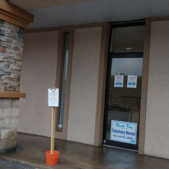 Beechnut Animal Hospital - Curbside pickup - Veterinarians Near Me - Houston, Texas