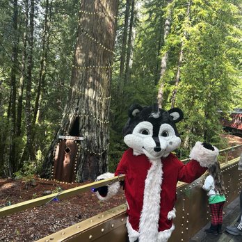 Skunk Train - Mr. Skunk and his Christmas Tree - Tours Near Me - Fort Bragg, California Skunk Train - Mr. Skunk and his Christmas Tree - Tours Near Me - Fort Bragg, California