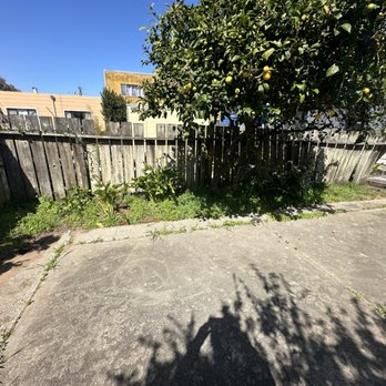 Sterling Framers - Old rotted backyard fence. - General Contractors Near Me Sterling Framers - Old rotted backyard fence. - General Contractors Near Me