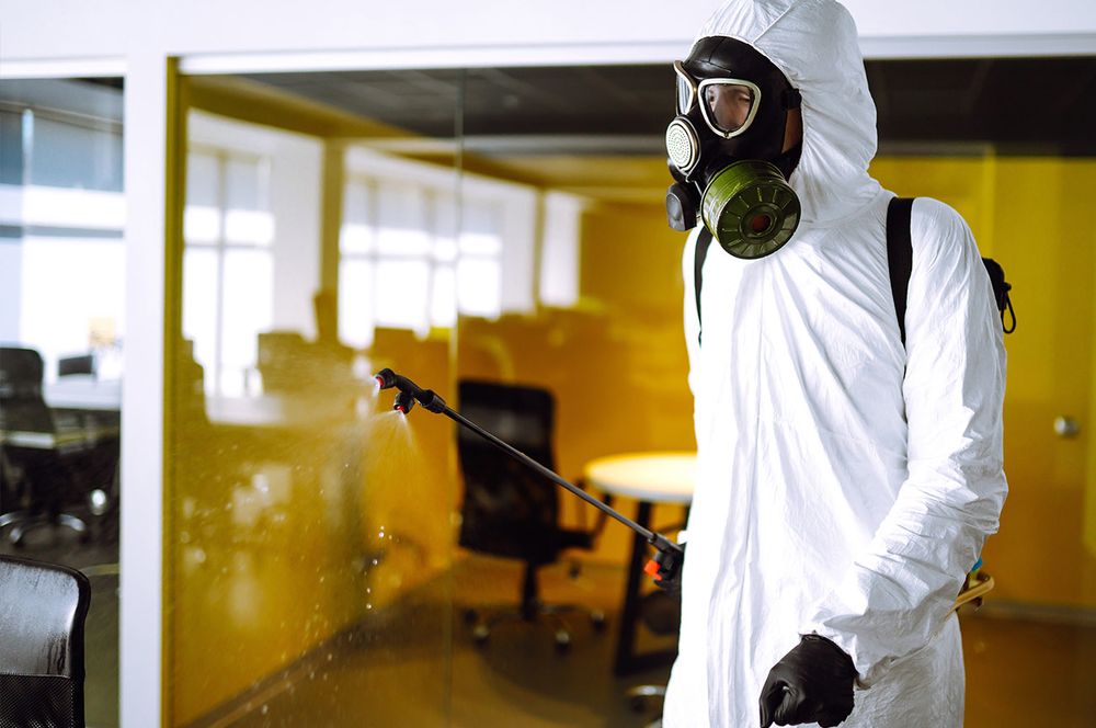 VIRAL SANITIZER Updated April 2024 San Francisco, California Home