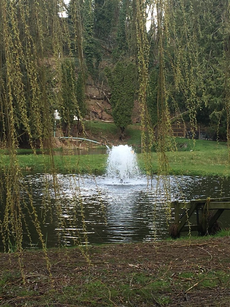 SILVERBROOK UCATCH RAINBOW TROUT Updated August 2024 18 Photos