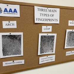 AAA Fast Fingerprinting - Some info about your fingerprints