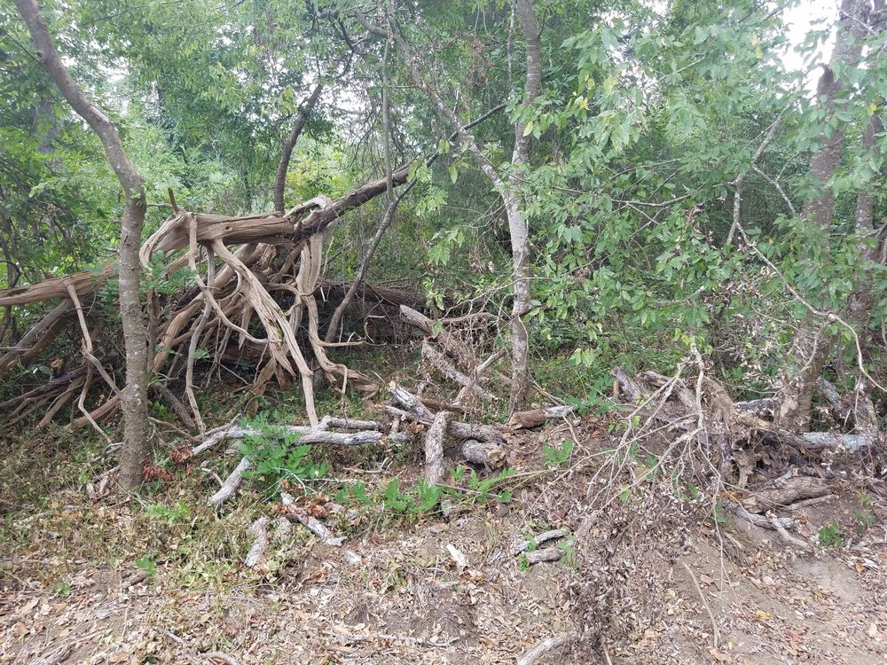 Slide of SCE Landscaping/Tree Service