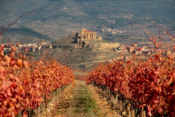 Rioja Wine Tours by null