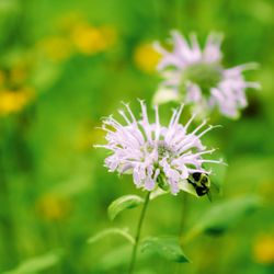 Irwin Landscaping - Irwin Landscaping is an award-winning boutique landscaping company serving Northern Delaware and Southeastern Pennsylvania...