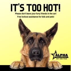 Alpha Towing and Recovery