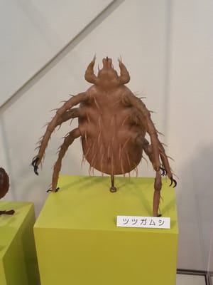 Meguro Parasitological Museum by null