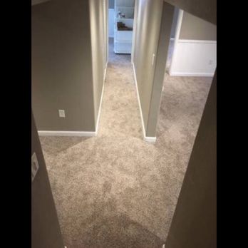 Rug Rats - Carpeting Near Me - Englewood, Colorado Rug Rats - Carpeting Near Me - Englewood, Colorado