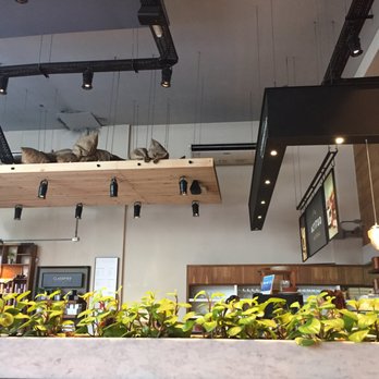 Tea Connection - Coffee & Tea Near Me - Buenos Aires, C Tea Connection - Coffee & Tea Near Me - Buenos Aires, C