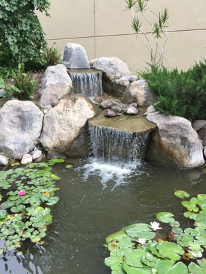 Amarillo Botanical Gardens by null