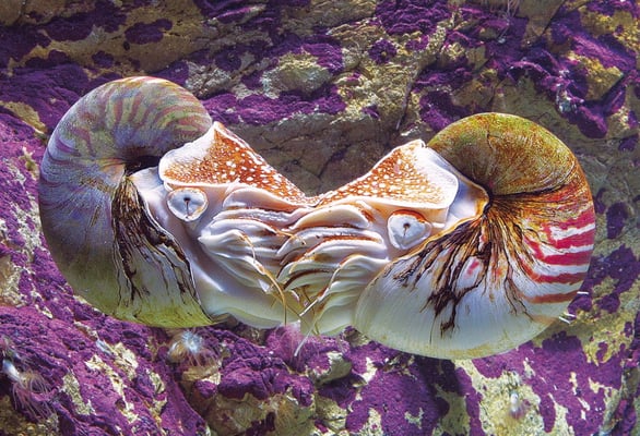 La Rochelle Aquarium by null