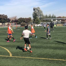 Euro Soccer Training