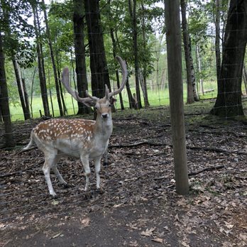 Shalom Wildlife Sanctuary - Parks Near Me - West Bend, Wisconsin
