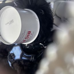 Pup Cup