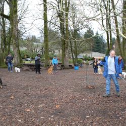 Puget Sound K9 Academy - Trail Training and Socialization