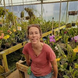 Odom's Orchids