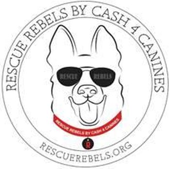 Rescue Rebels - Animal Shelters Near Me - Delray Beach, Florida Rescue Rebels - Animal Shelters Near Me - Delray Beach, Florida