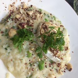 Gustus Gastrobar - Liten risotto