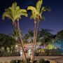 Photo of A-Absolute Lighting Designs