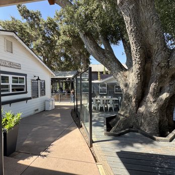 Barton Family Winery And Grey Wolf Cellars - Wine Tasting Room Near Me - Paso Robles, California Barton Family Winery And Grey Wolf Cellars - Wine Tasting Room Near Me - Paso Robles, California