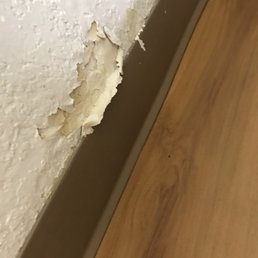 Mold Mold