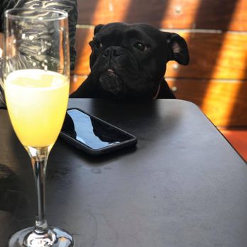 Postino Heights - Mimosas! - Wine Bars Near Me - Houston, Texas Postino Heights - Mimosas! - Wine Bars Near Me - Houston, Texas