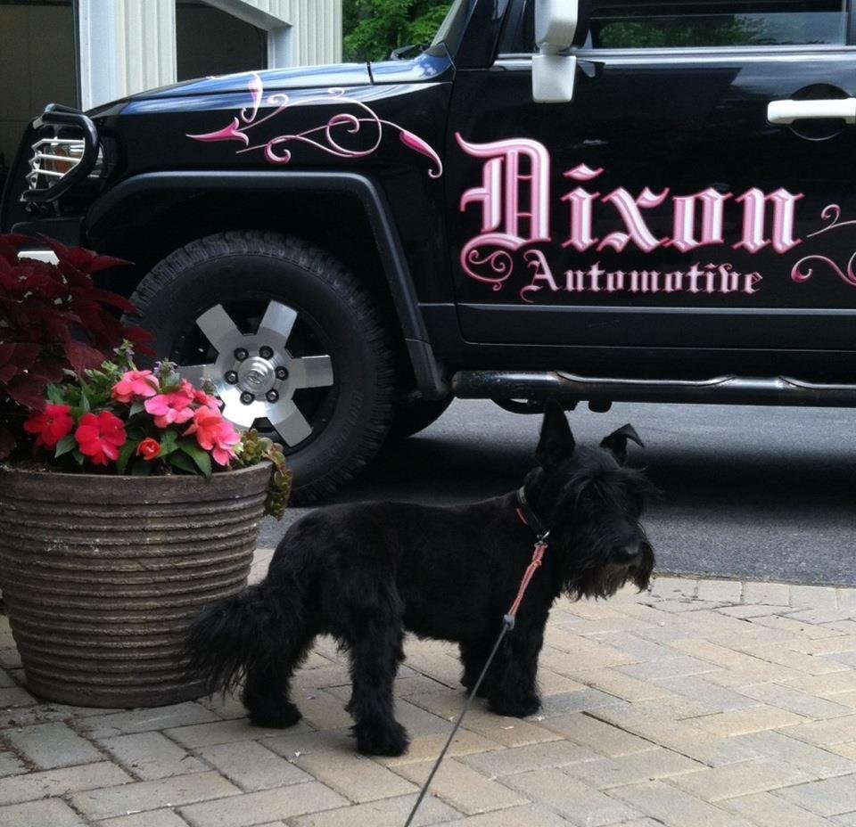 DIXON AUTOMOTIVE Updated September 2024 205 Old Lackawanna Trl