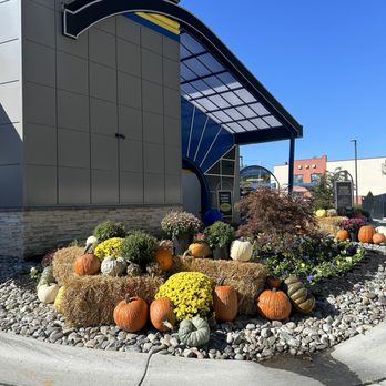 Odenton Auto Spa Express - Car Wash Near Me - Odenton, Maryland